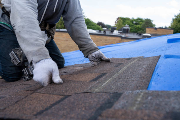 Best Storm Damage Roof Repair  in Sea Cliff, NY